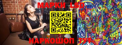 apvp Канаш