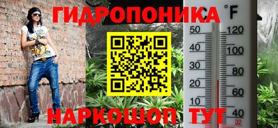 apvp Канаш