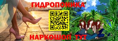 apvp Канаш