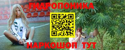 apvp Канаш
