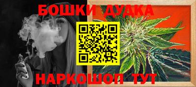 apvp Канаш